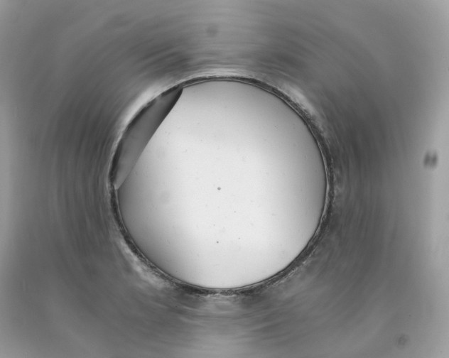 X0000091551181200709141510