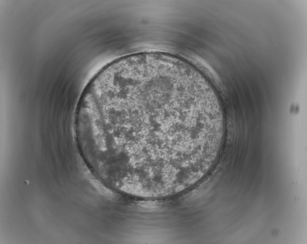 X0000091551182200709141510