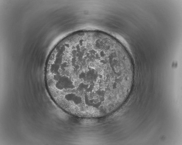 X0000091551183200709141510