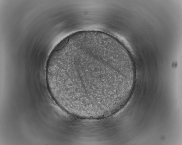 X0000091551184200709141510