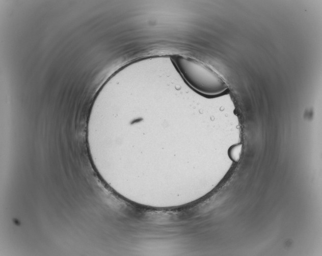 X0000091551185200709141510