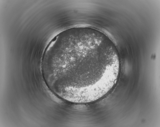 X0000091551186200709141510