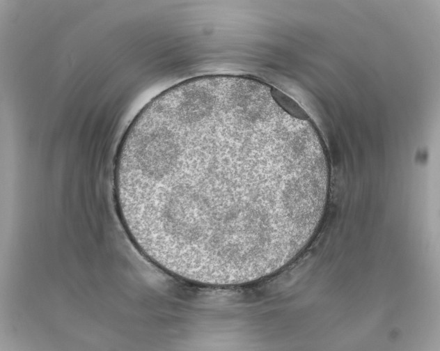 X0000091551187200709141510