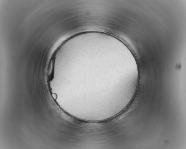 X0000091551188200709141510