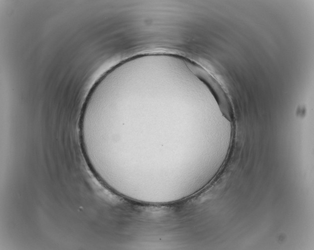 X0000091551189200709141510