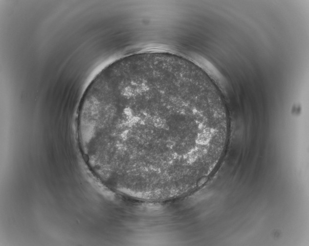 X0000091551190200709141510