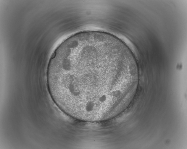 X0000091551191200709141510