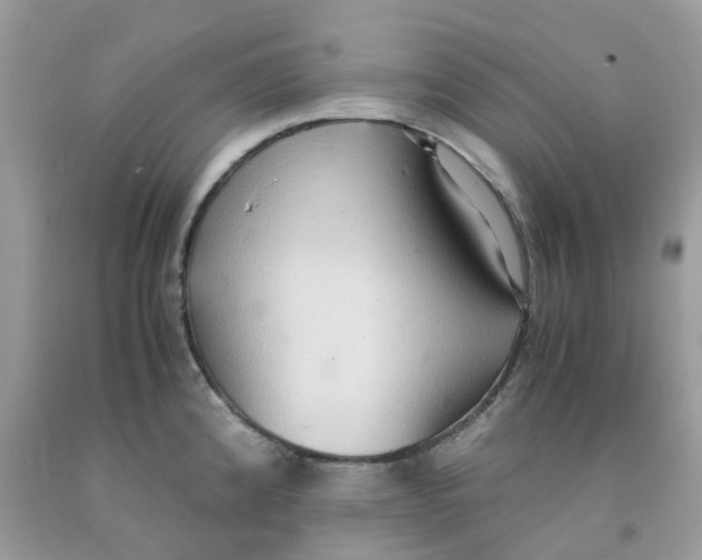 X0000091551192200709141510