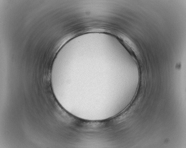 X0000091551193200709141510