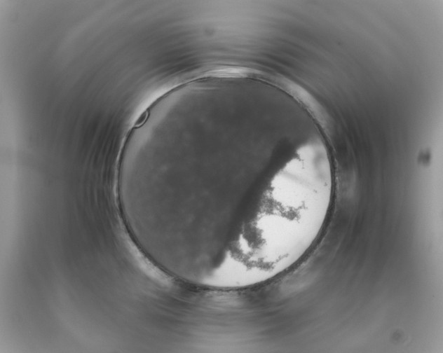 X0000091551194200709141510