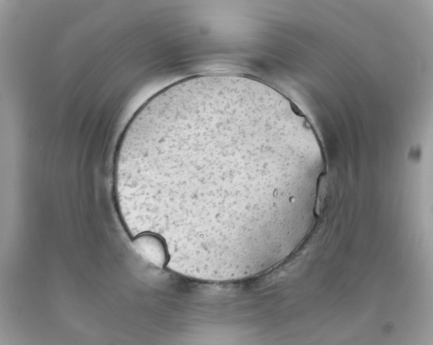 X0000091551195200709141510