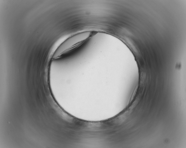 X0000091551196200709141510