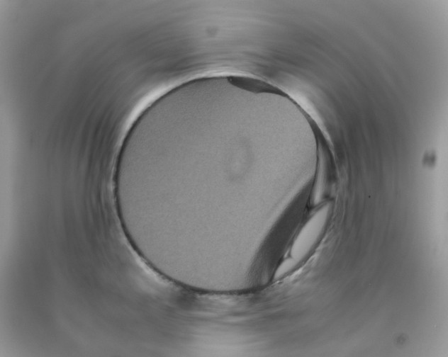 X0000091551197200709141510