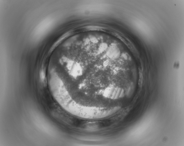 X0000091551198200709141510