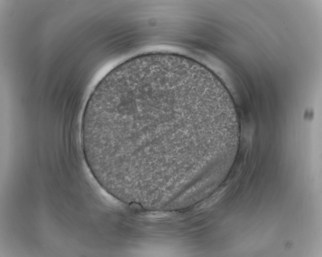 X0000091551199200709141509