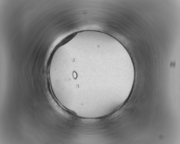 X0000091551200200709141509