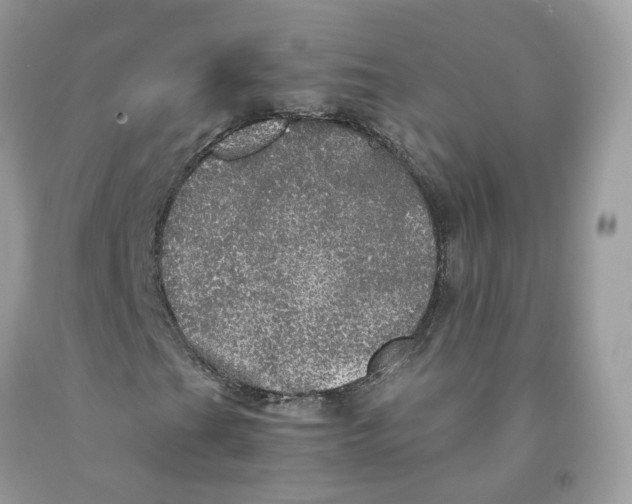 X0000091551201200709141509