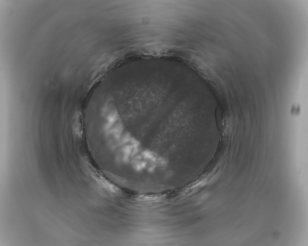 X0000091551202200709141509