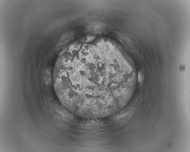 X0000091551203200709141509