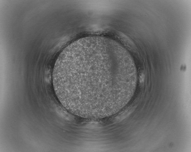 X0000091551204200709141509