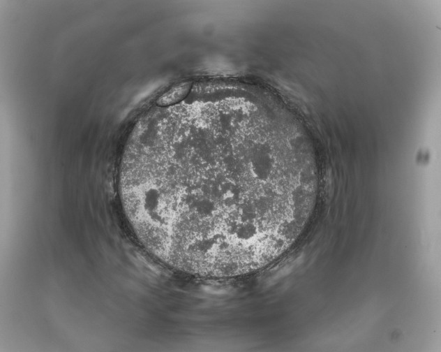 X0000091551205200709141509