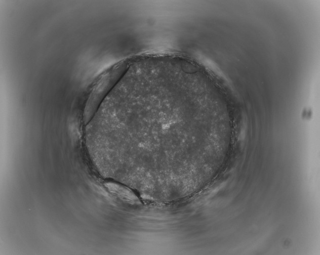 X0000091551206200709141509