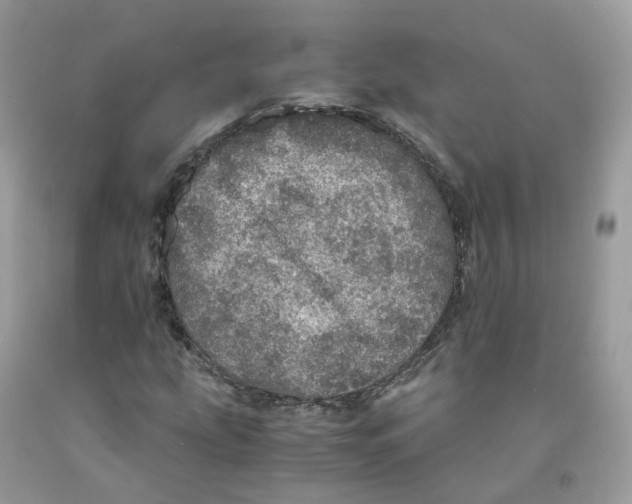 X0000091551207200709141509