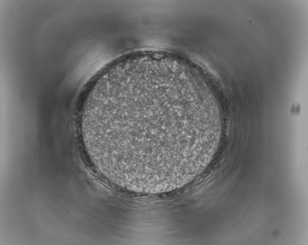 X0000091551208200709141509