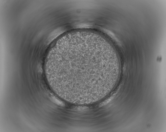 X0000091551209200709141509