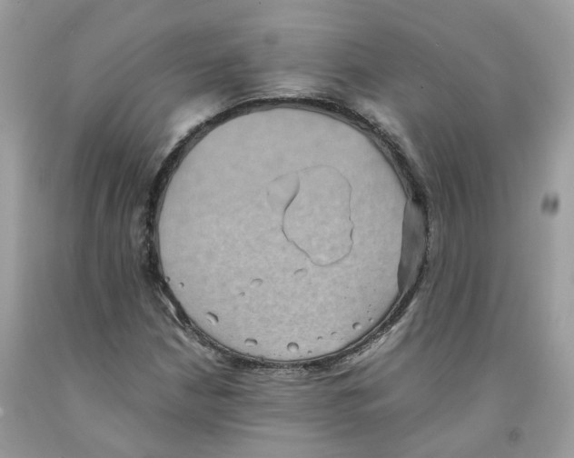 X0000091551210200709141509