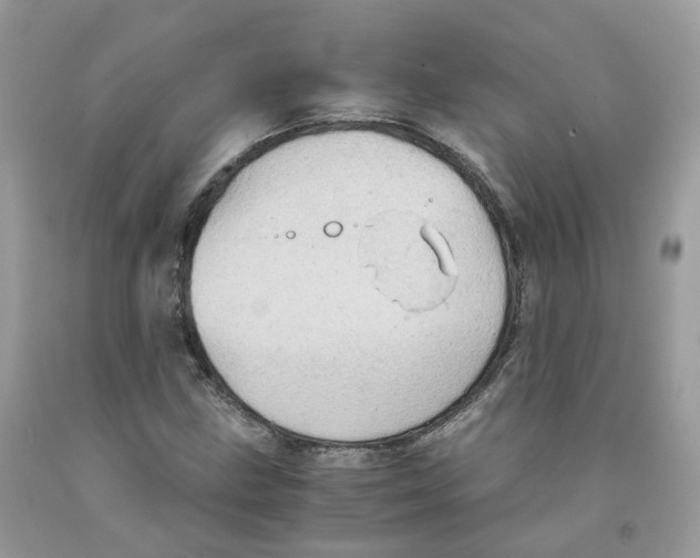 X0000091551211200709141509