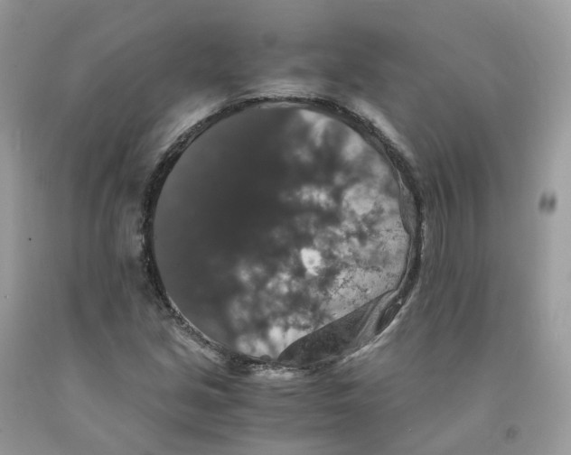 X0000091551213200709141509