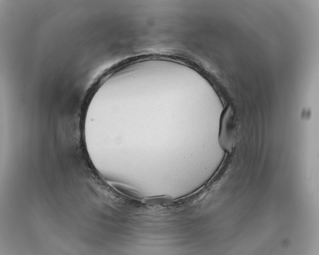 X0000091551214200709141509