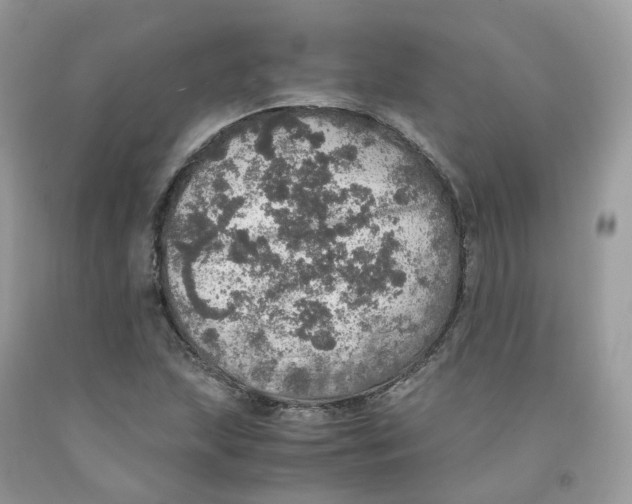 X0000091551215200709141509