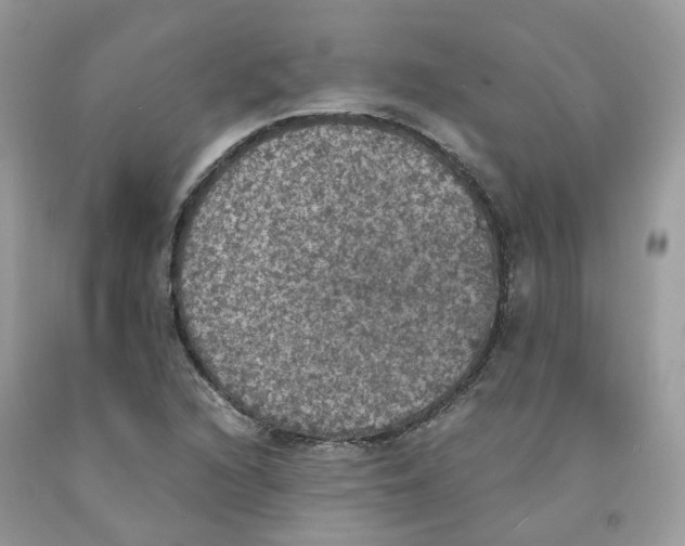 X0000091551216200709141509