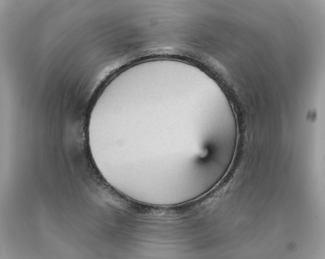 X0000091551218200709141509