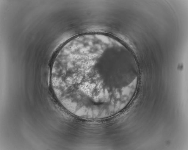 X0000091551219200709141509