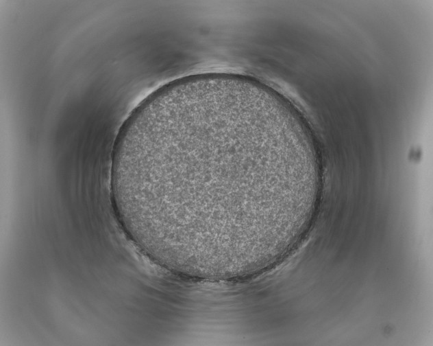 X0000091551220200709141509