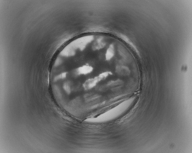 X0000091551221200709141509