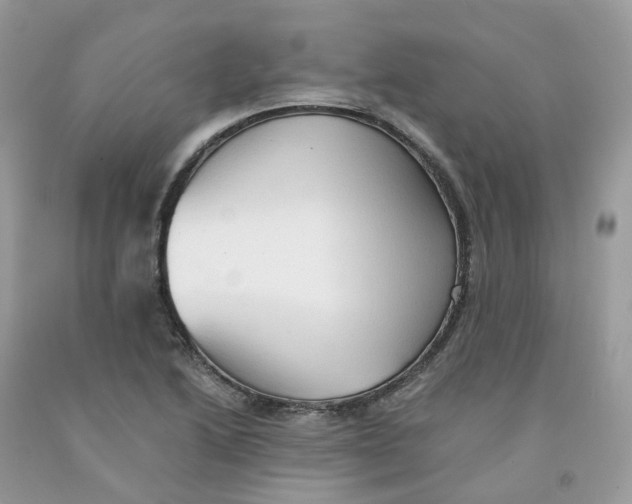 X0000091551222200709141509