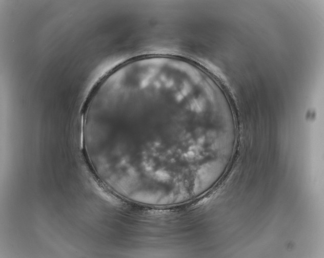 X0000091551223200709141509