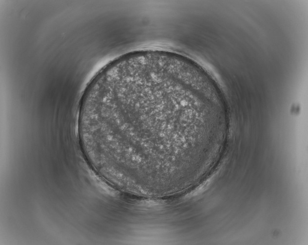 X0000091551224200709141509