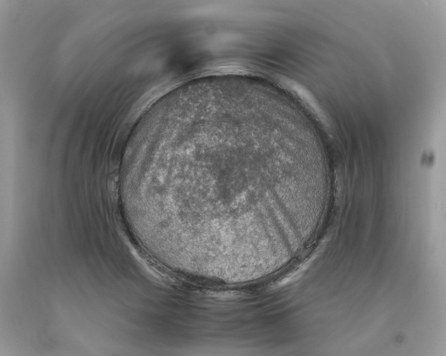 X0000091551225200709141509