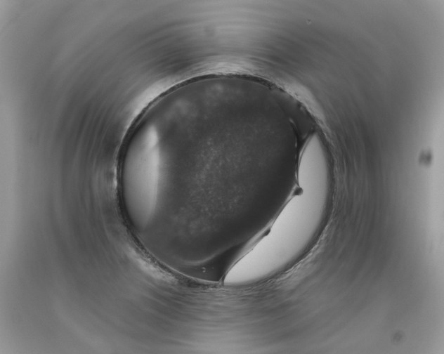 X0000091551226200709141509