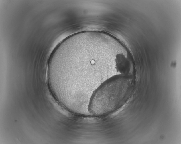 X0000091551227200709141509