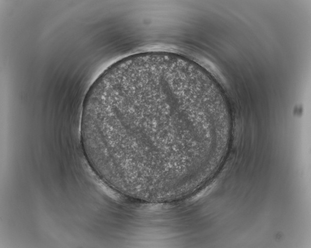 X0000091551228200709141509