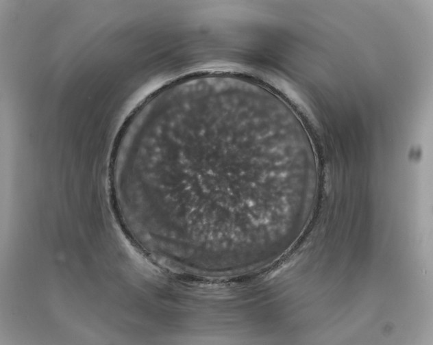 X0000091551229200709141509