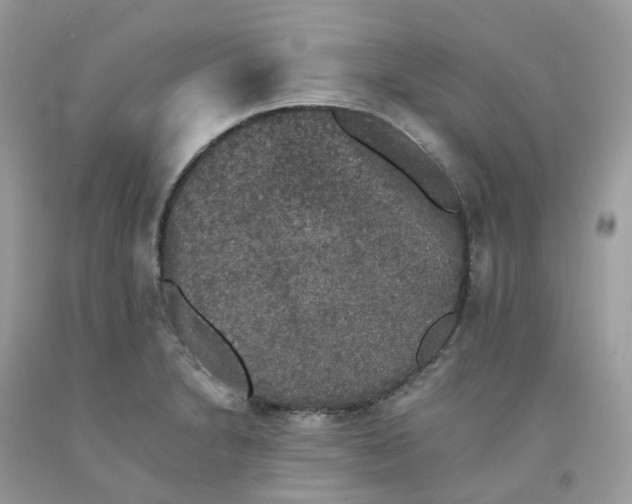 X0000091551230200709141509