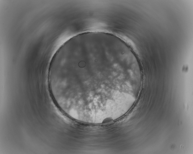 X0000091551231200709141509