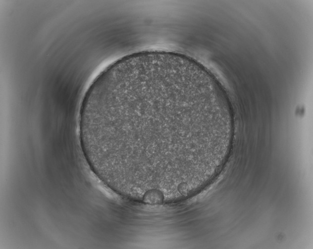 X0000091551232200709141509